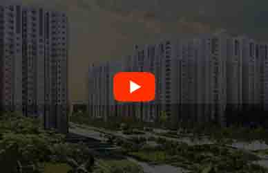 Prestige City Oakwood